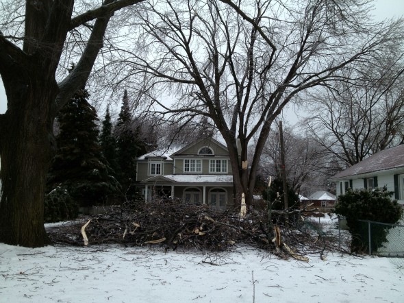 Birchcliff Avenue ice storm